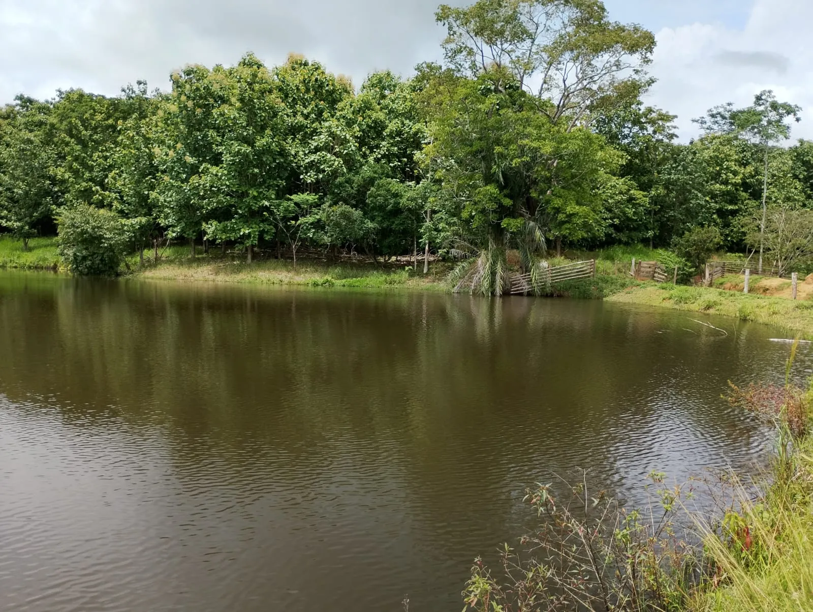 Lago rural — monitoramento hídrico ambiental, Fernando Consultoria Ambiental ES